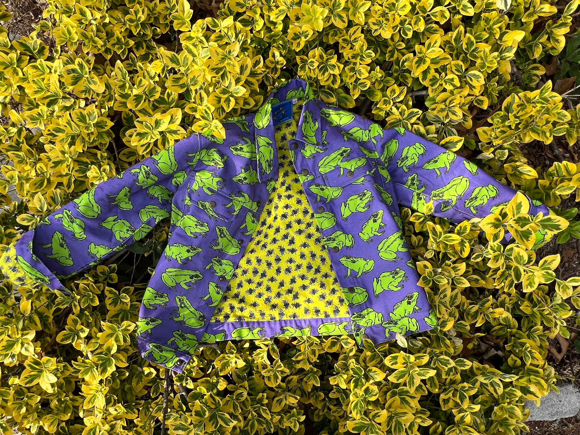 Frog Jacket with Fly Lining in 100% cotton * Beautiful Genius by